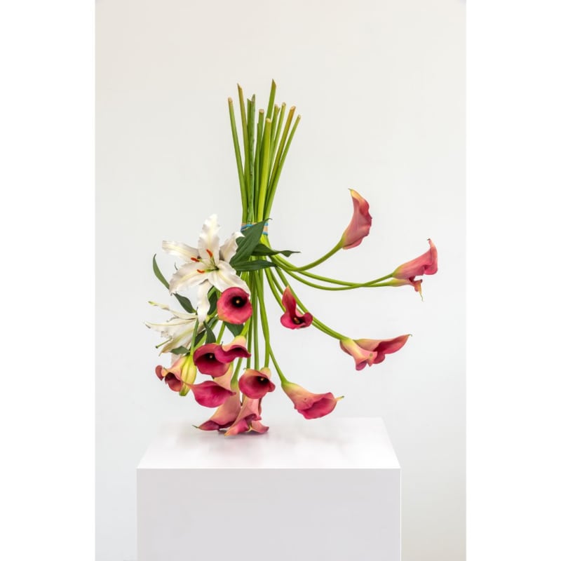Tony Matelli, Arrangement, 2023