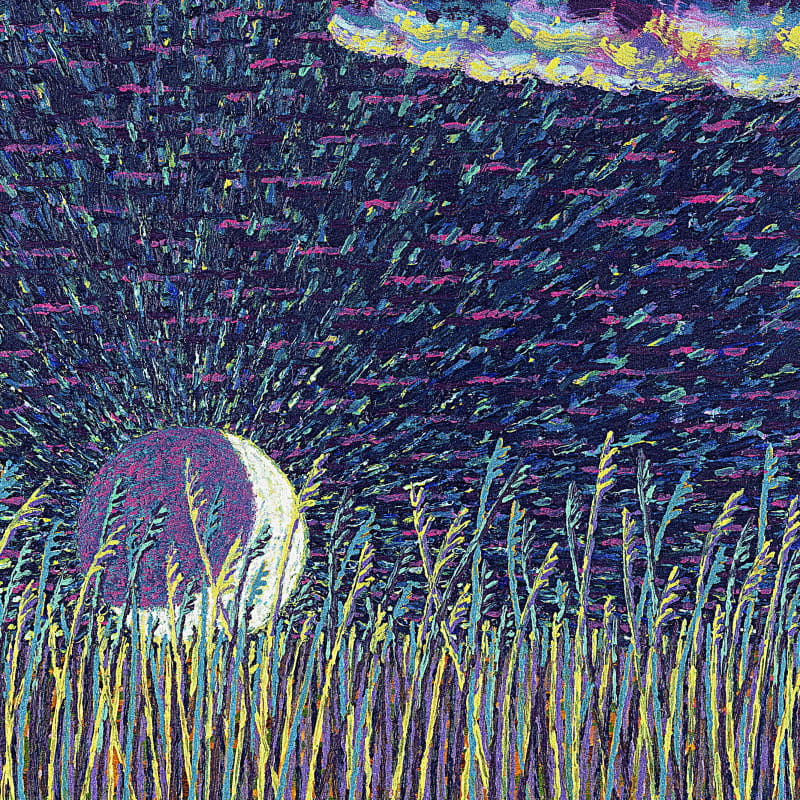 A cloud, a moon, and grass