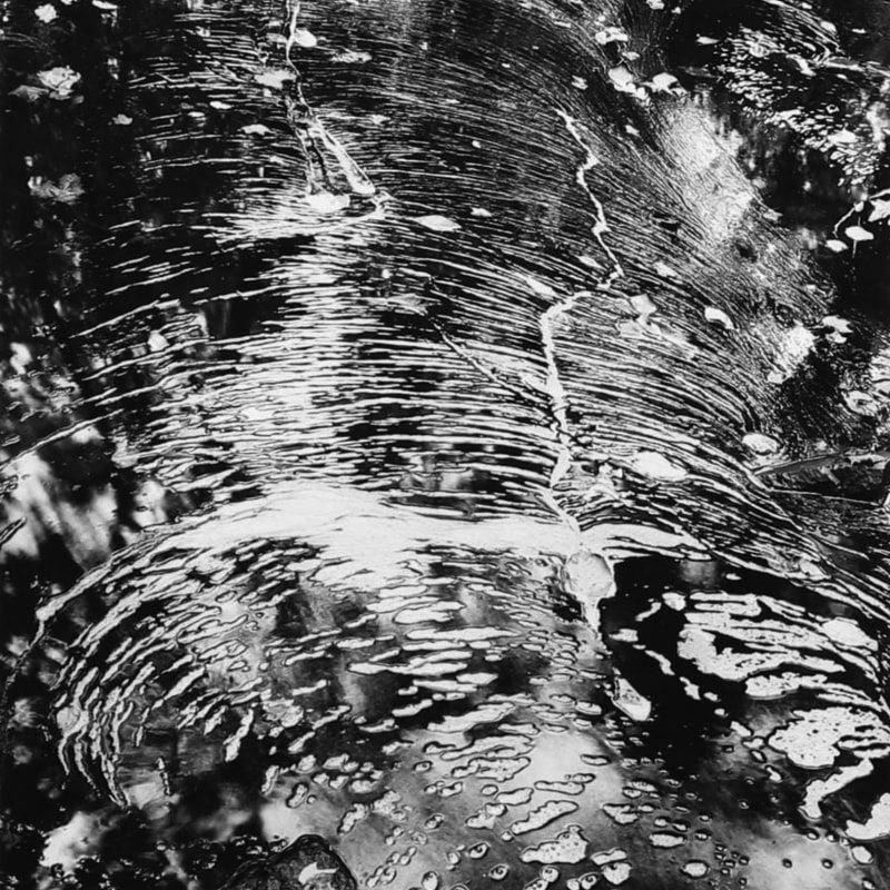 Paul Caponigro Foam on Water, Dover, Massachusetts, 1960