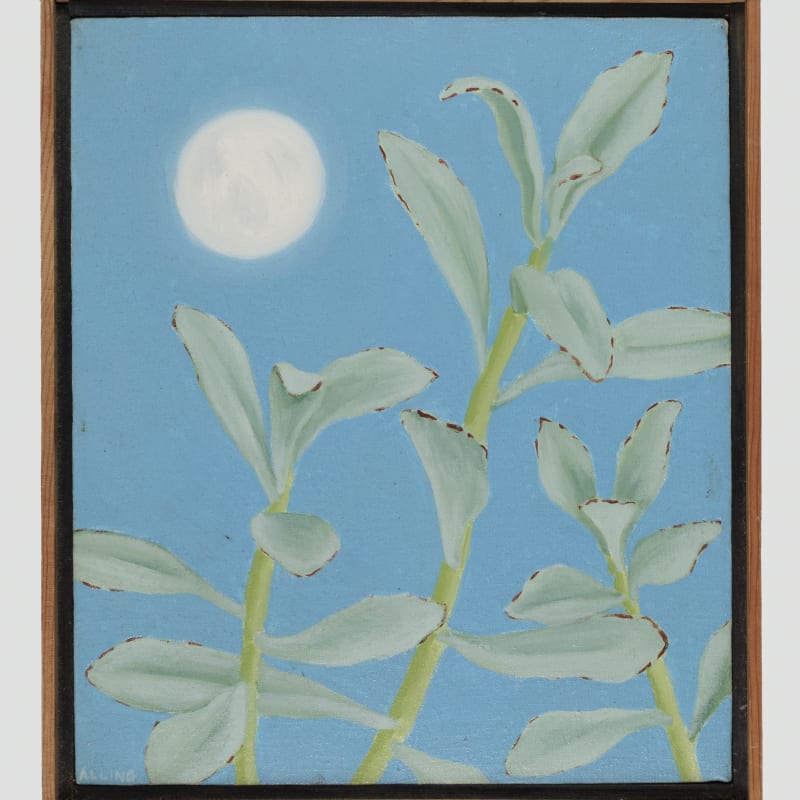 Janet Alling Lambs Ears with Moon, 1981 oil on canvas 14 x 12 in