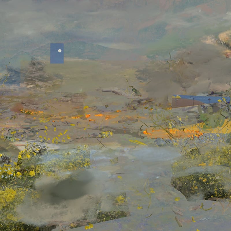 Petra Cortright