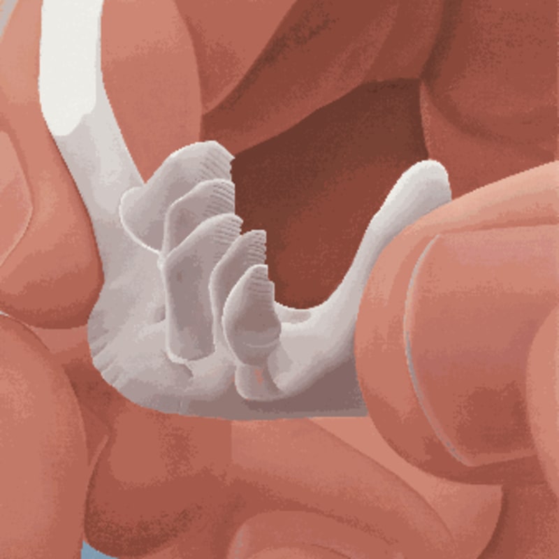 Liang Hao 梁浩, Tooth 牙齿, 2024