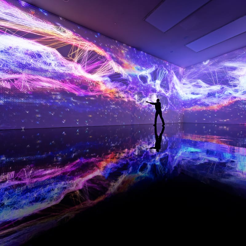 Complex Meshes Credit Thomas Granovsky 2