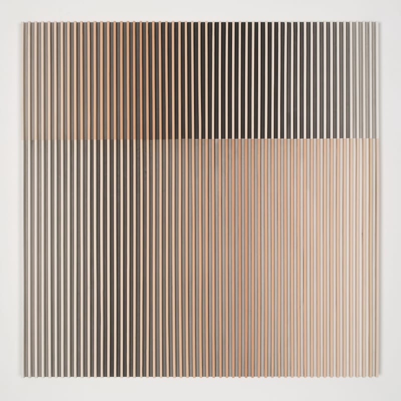 Yu Yang, The One and Half Pigment and 10ml of Ink-Ochre, 2017