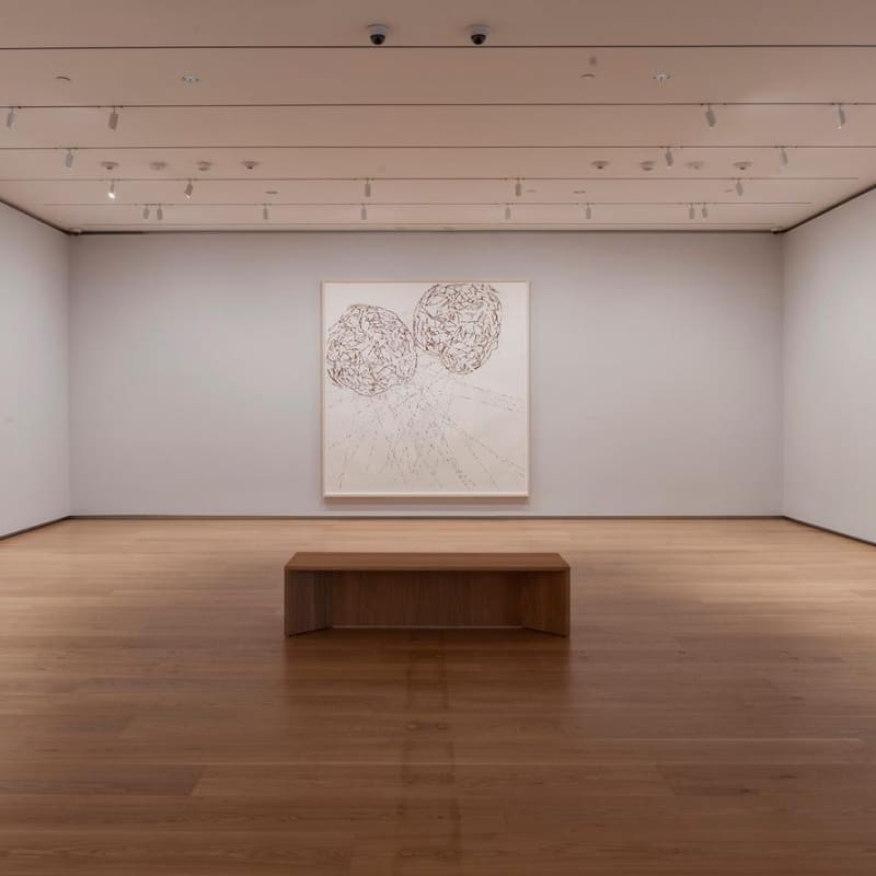 Roni Horn, When I breathe, I draw, Part I February 15th - May 5th, 2019, The Menil Collection, Houston, Texas....