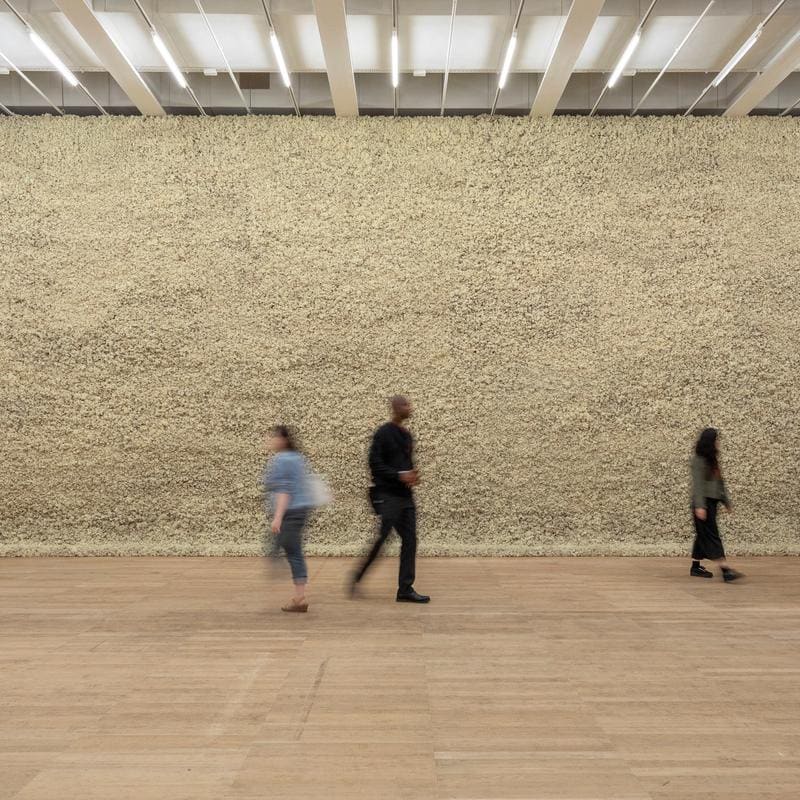 In real life, Tate Modern, London, 2019 Photo: Anders Sune Berg, Courtesy of Studio Olafur Eliasson