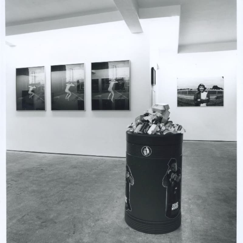 Not Self-Portrait, installation view, May 1994