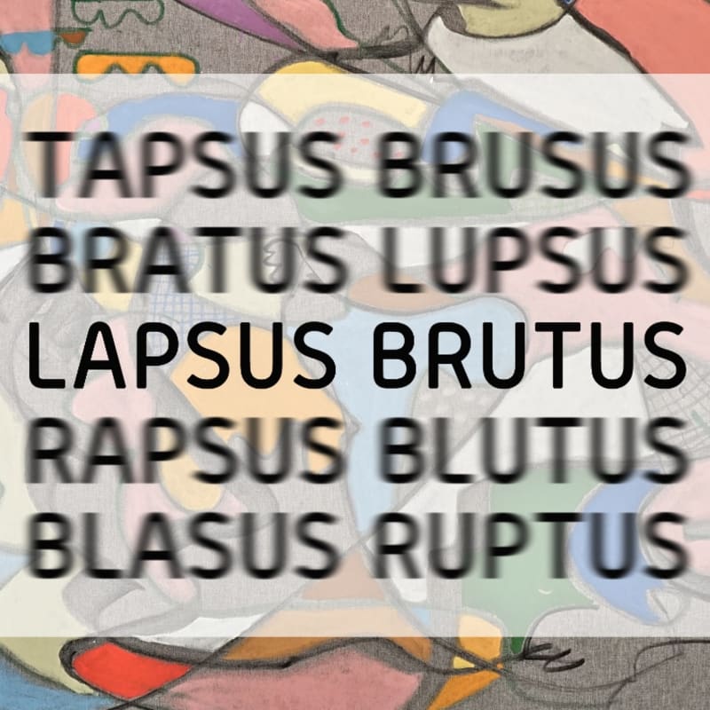 Lapsus Brutus