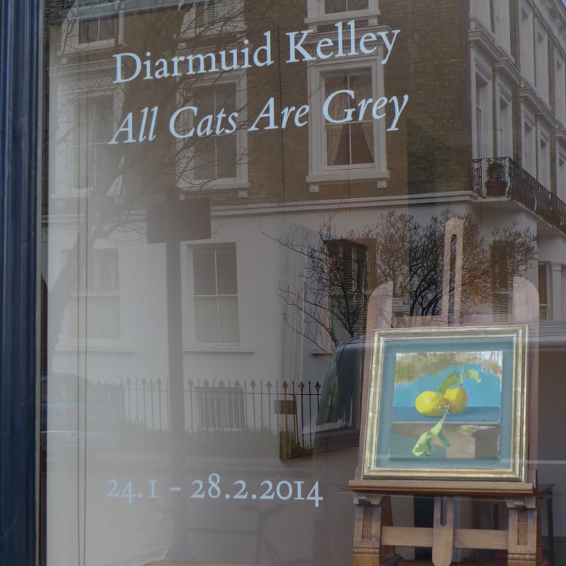 Diarmuid Kelley . All Cats Are Grey