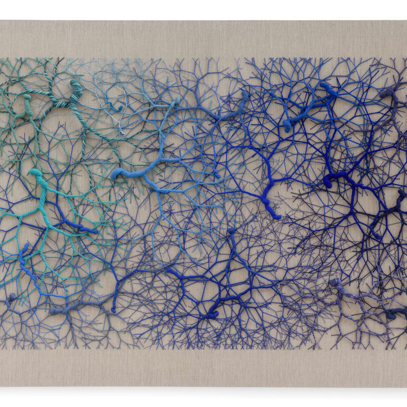 Janaina Mello Landini , Ciclotrama 308 (cluster) , 2023