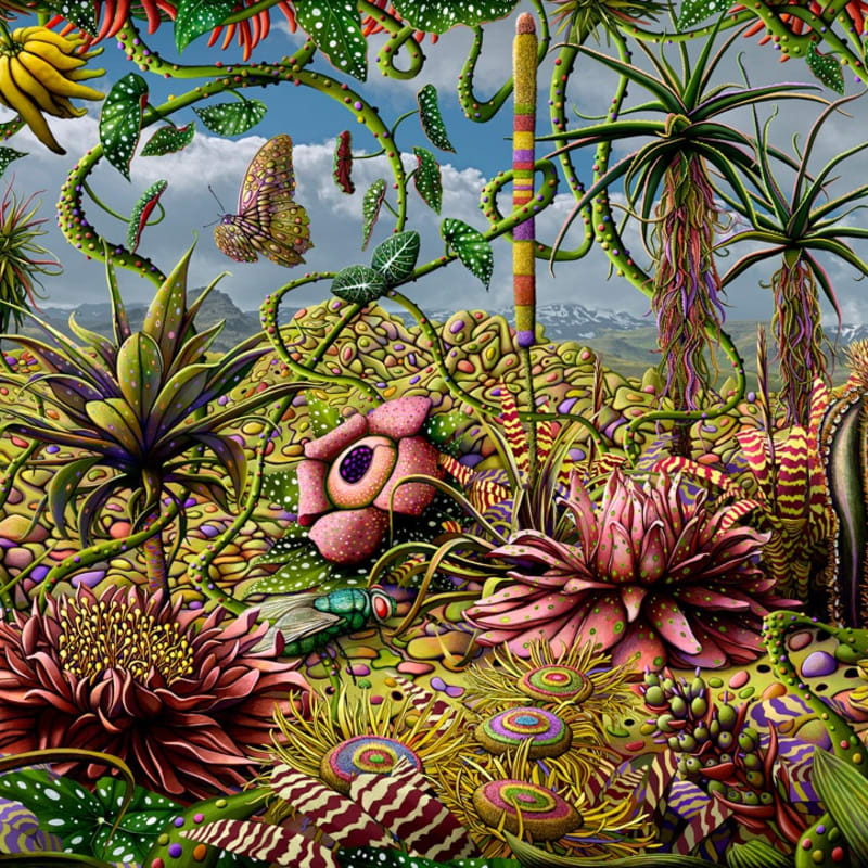 Marcelo Tinoco, Jardim Primitivo, 2025