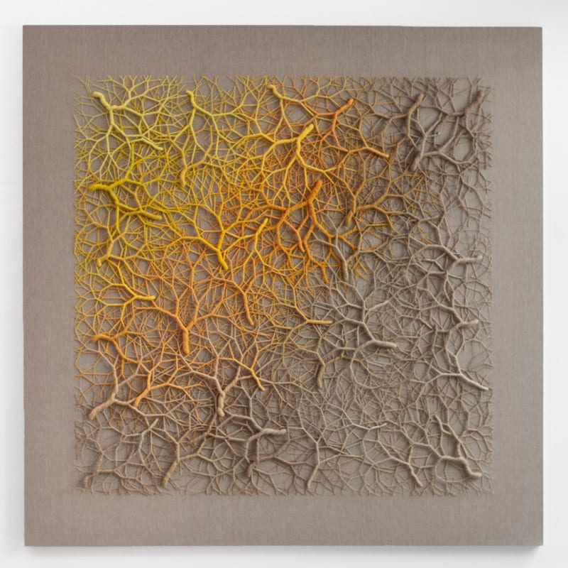 Janaina Mello Landini, Ciclotrama 339 (cluster), 2024