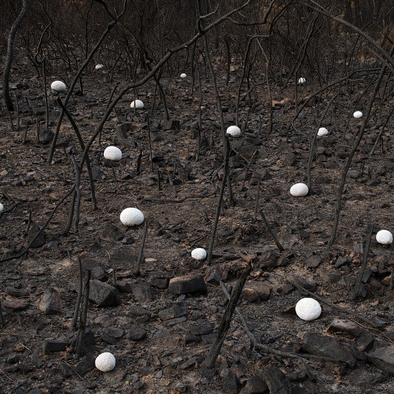 Rodrigo Braga, Ponto Zero #05, 2019
