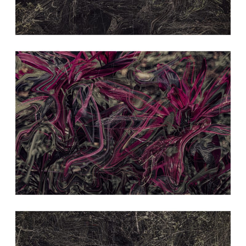 Fernando Velázquez, da série Reconhecimento de padrões/ outras naturezas, opus 03, 2022