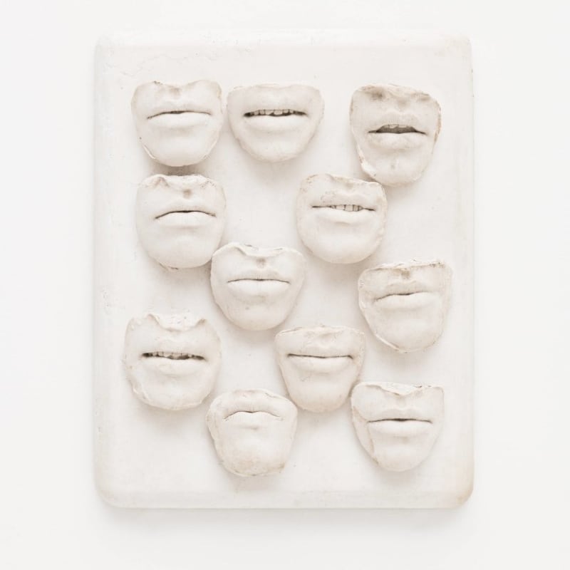Amélia Toledo, Sorriso de menina , 1976