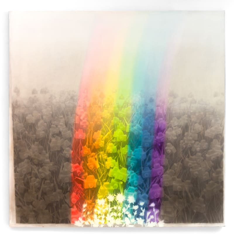 André Feliciano, Flores para Vilém Flusser 2, 2024