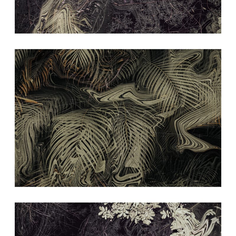 Fernando Velázquez, da série Reconhecimento de padrões/ outras naturezas, opus 07, 2022