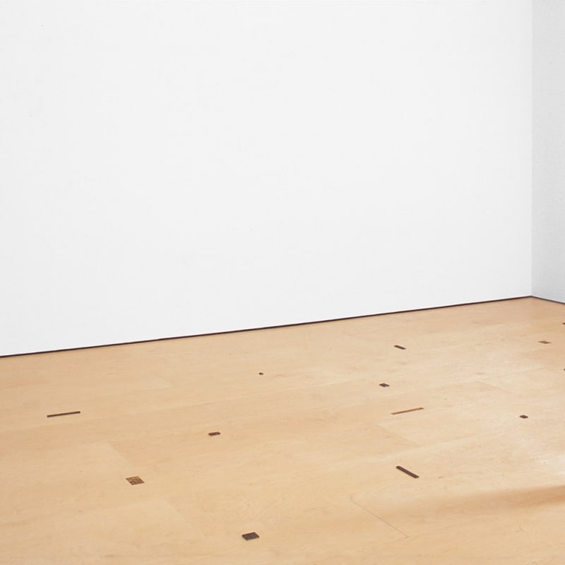 Carl Andre, WORDS & SMALL FIELDS