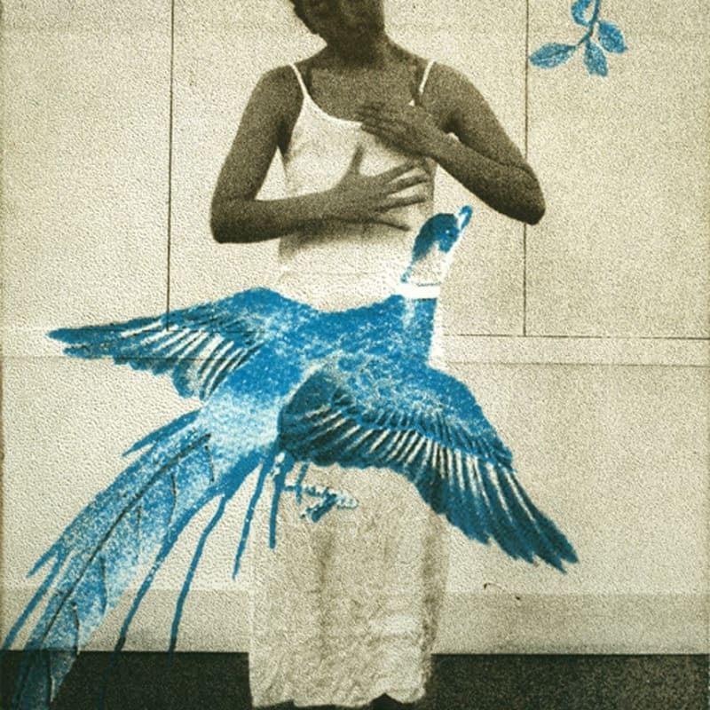 Flight of Fancy 