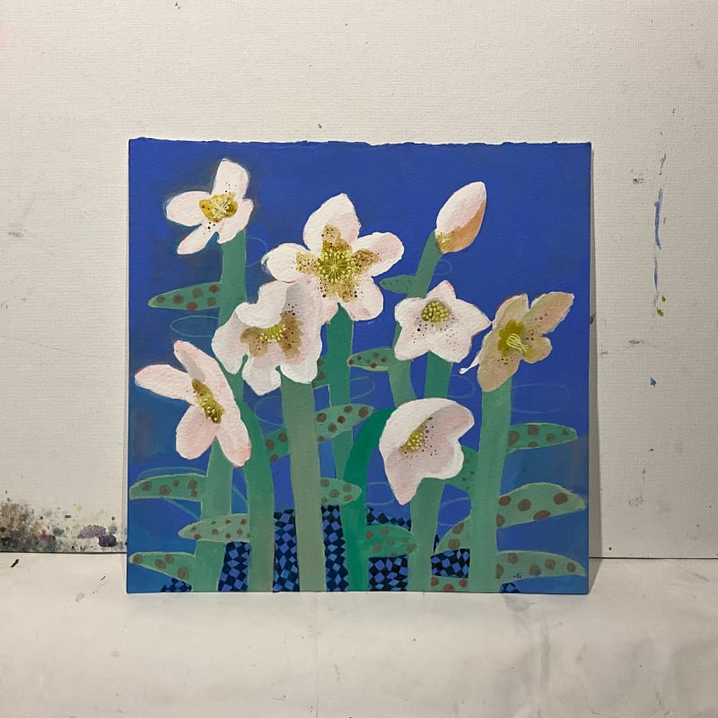 Hellebores on Blue