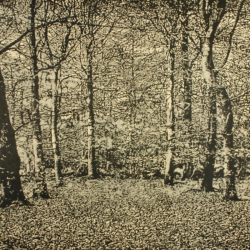 Beechwood I