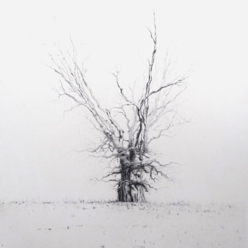 Lars Nyberg RE, Oak
