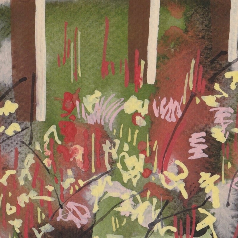 Wildflowers 3