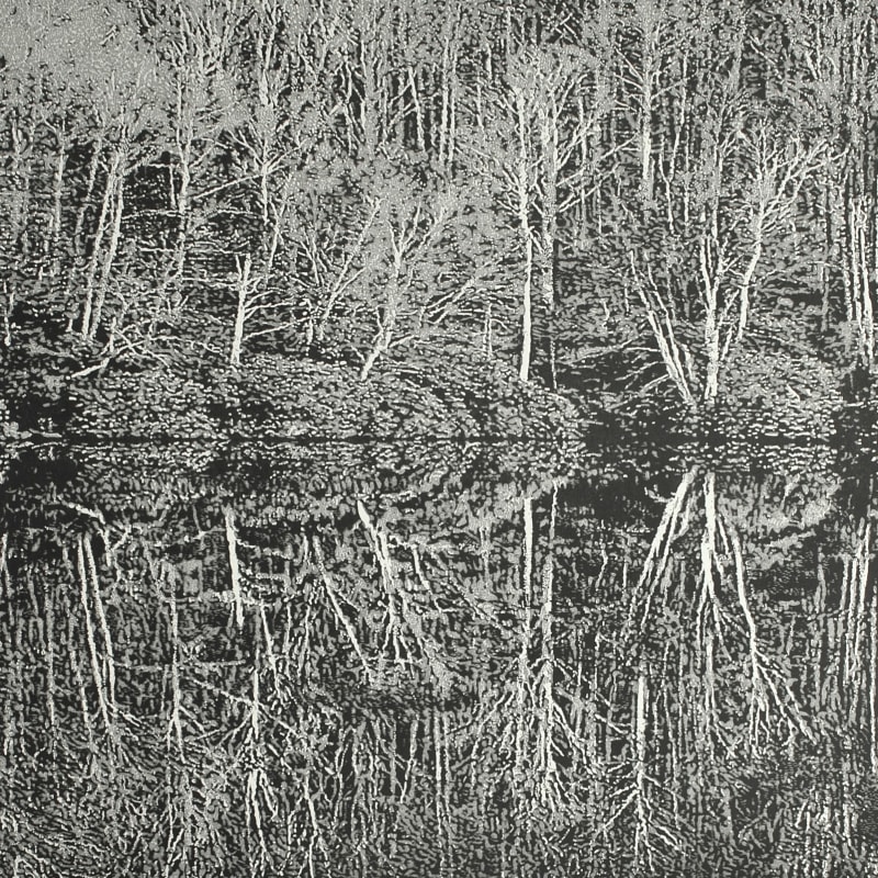 A Moment of Reflection II