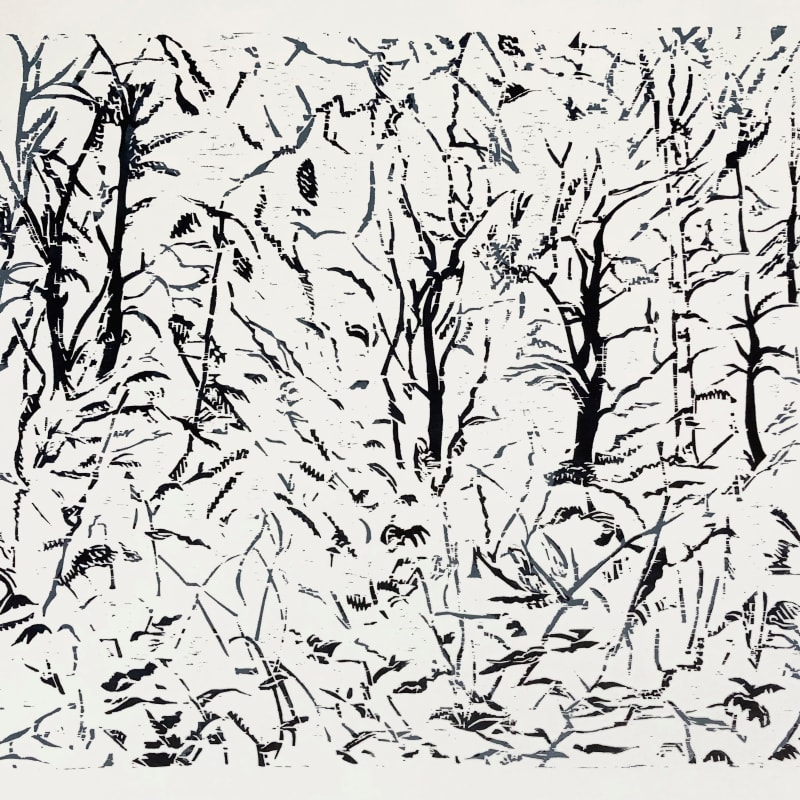 Many Paths