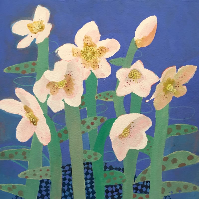 Hellebores on Blue