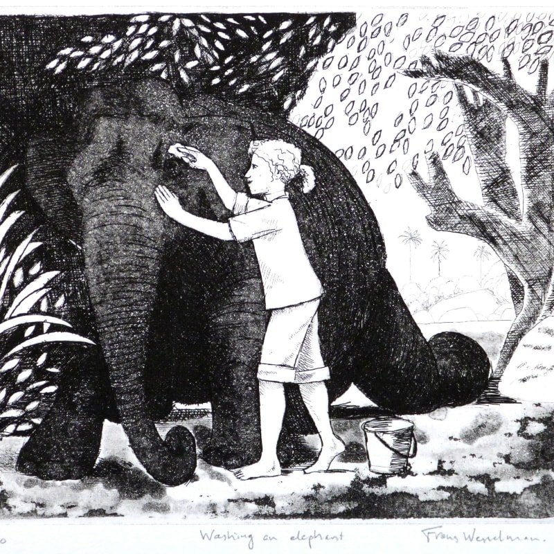 Washing an Elephant