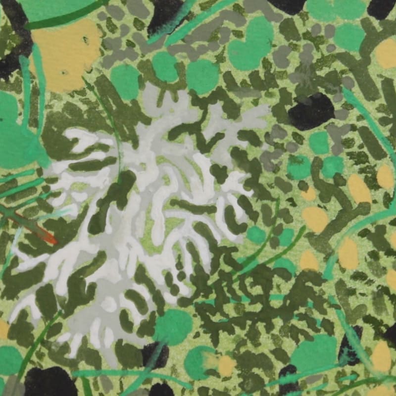 Lichen