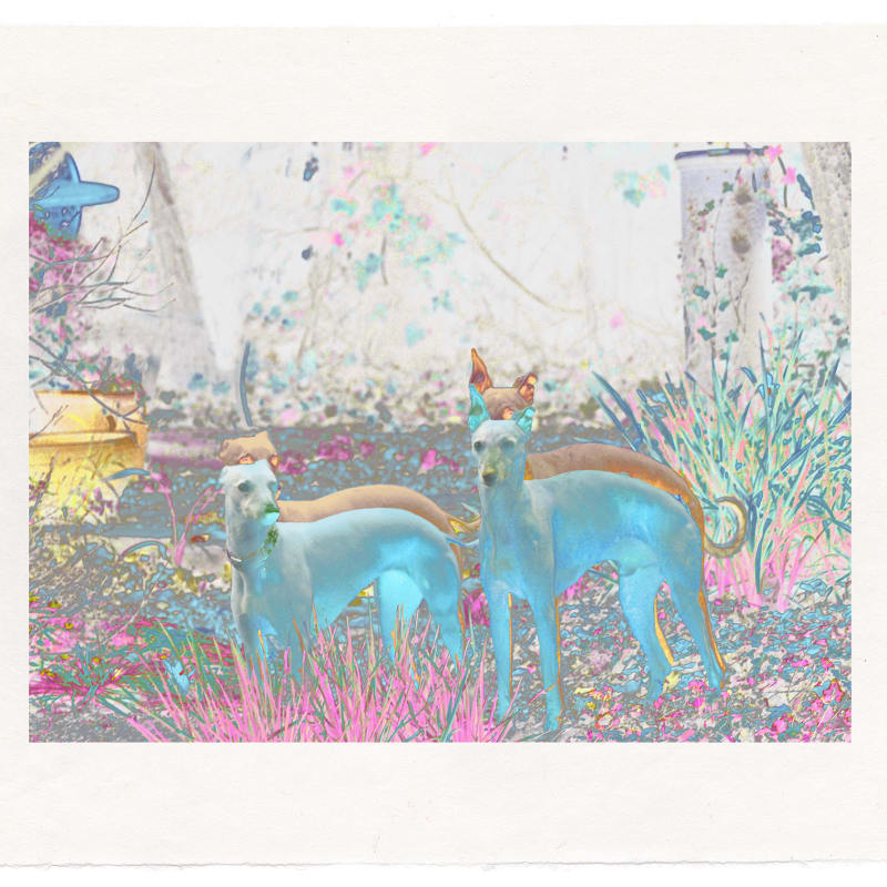 Christopher Clack ARE, In the Garden (Song of Solomon Series), 2025