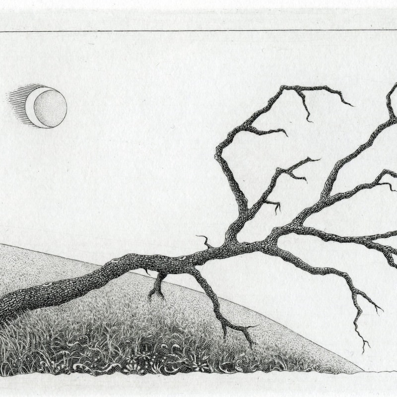 Brian Hanscomb RE, Stricken Tree - Bodmin Moor