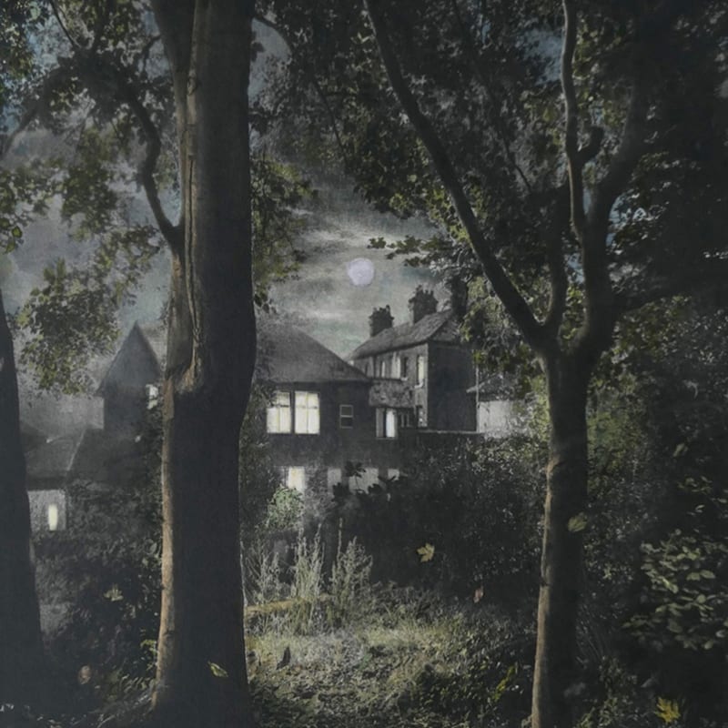 'Woods'