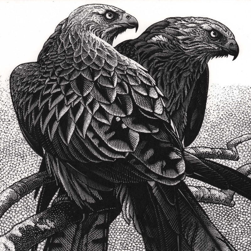 SOCIETY OF WOOD ENGRAVERS 80th Annual Exhibition