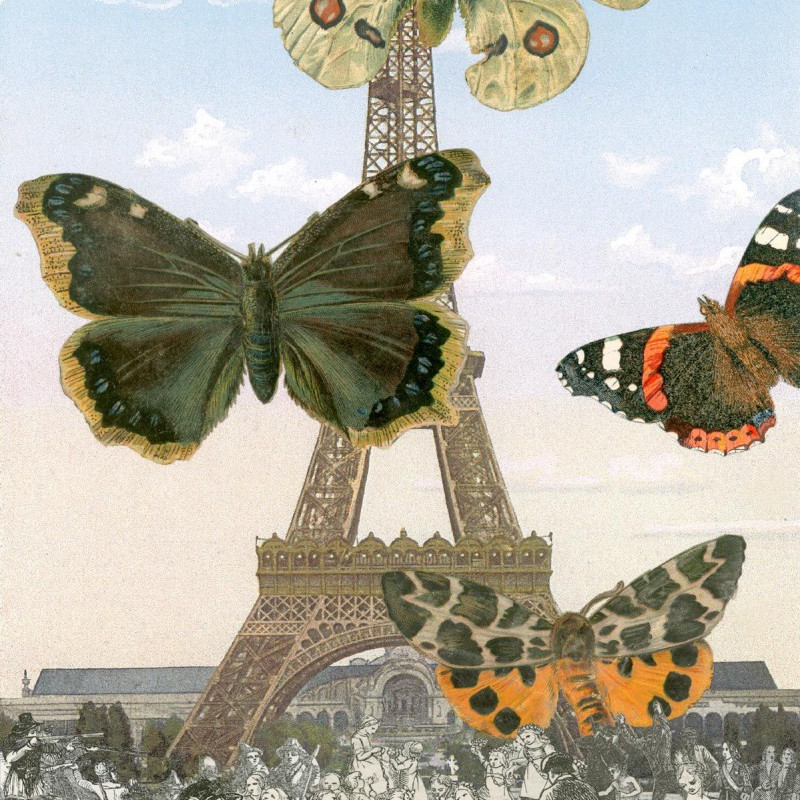 Peter Blake, Paris - Butterflies I, 2011