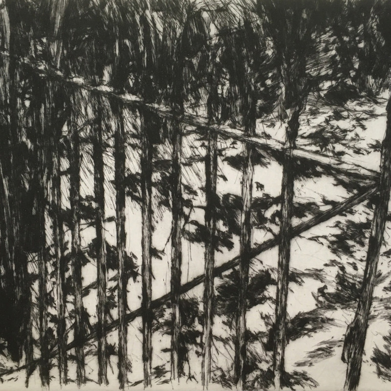 Open Gate, drypoint with chine colle