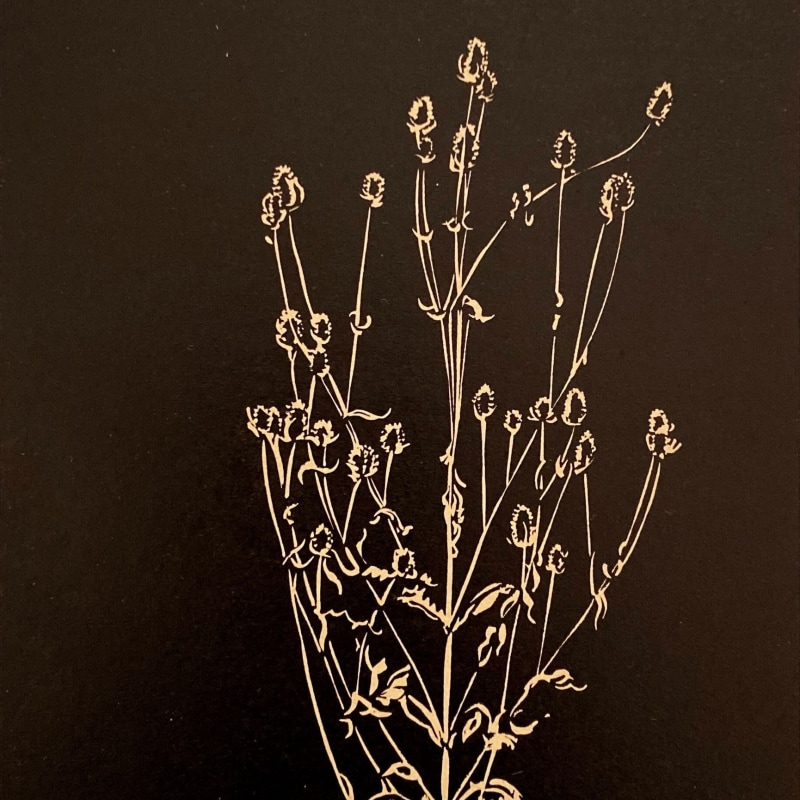 The Thistle