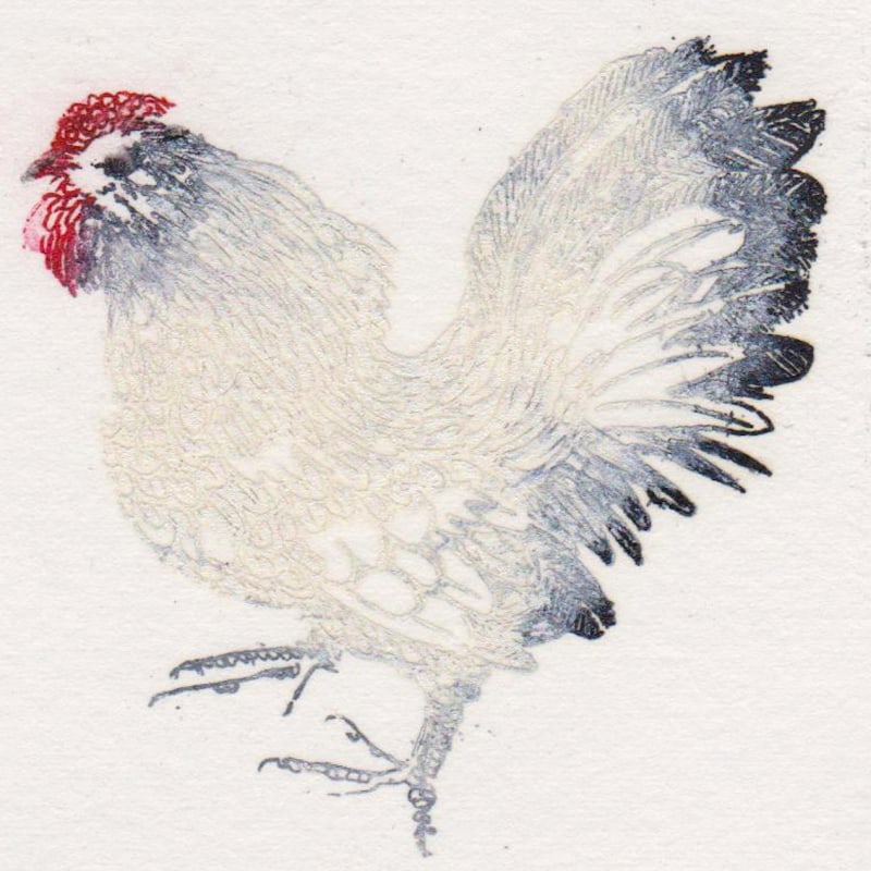 My White Cockerel