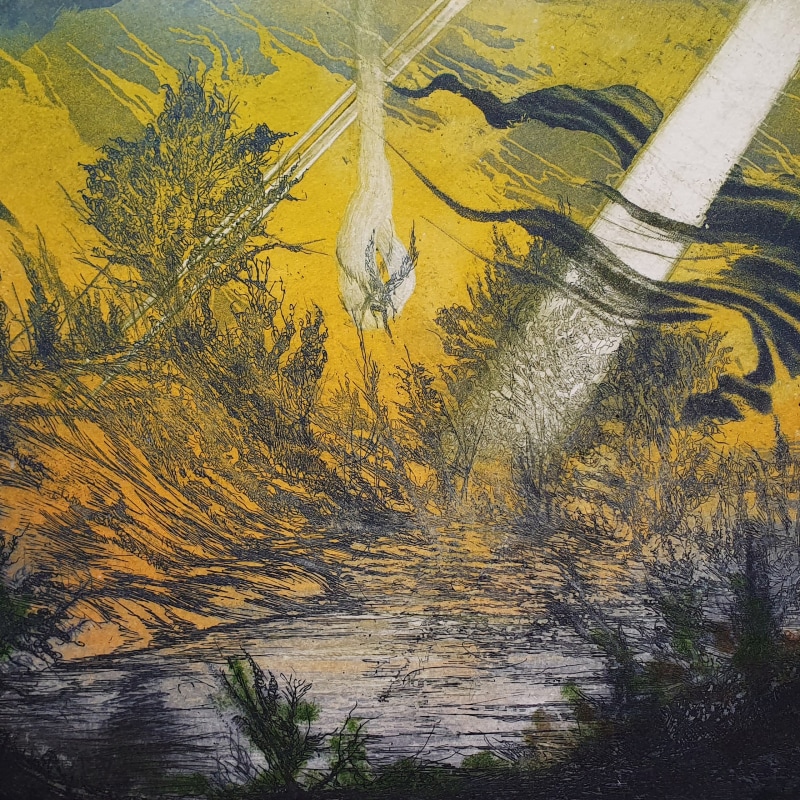 Bird Fight