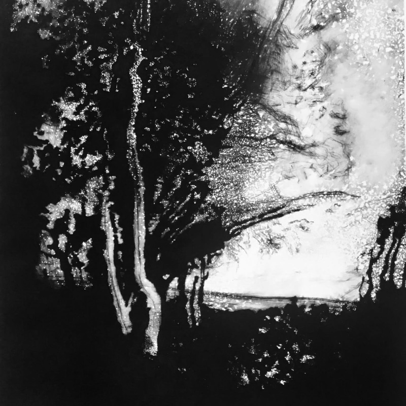 December Light, Master's Garden, Marlborough, Wiltshire