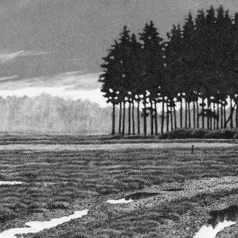 Turf Hill (New Forest)
