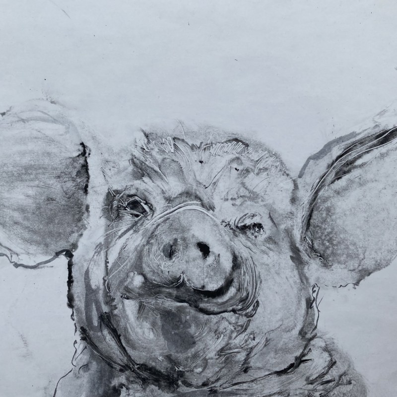 Pigface