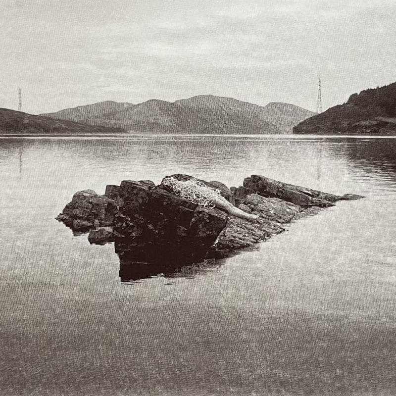 Stranded By Design