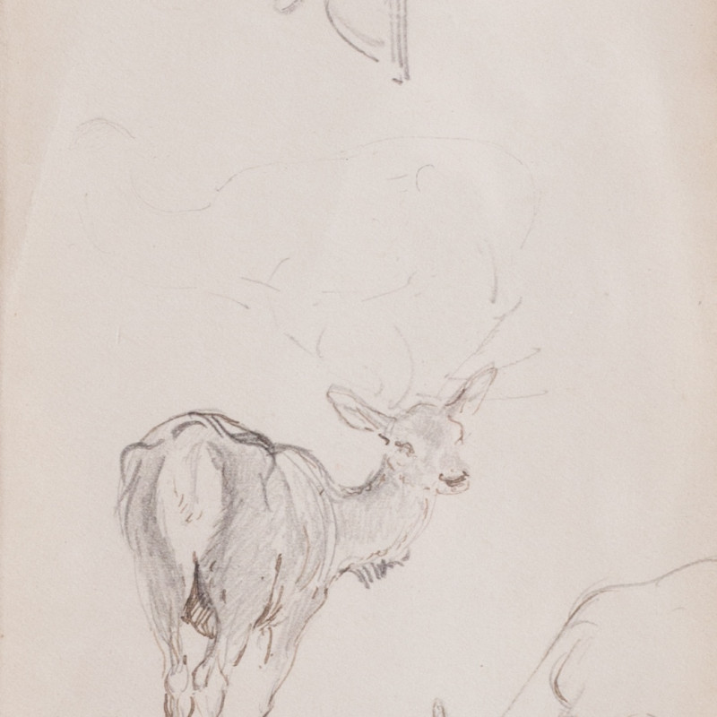 William Woodhouse, Double-sided deer study