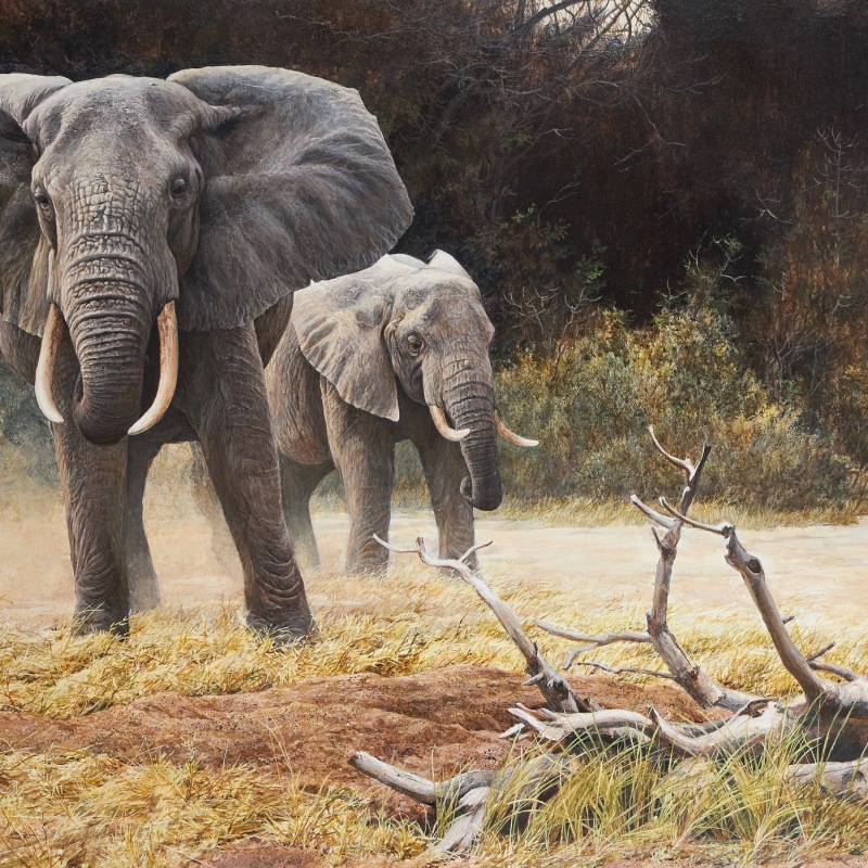 Robert Bateman, Elephants