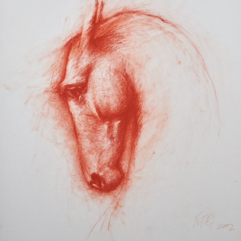 Nic Fiddian-Green, Horse head