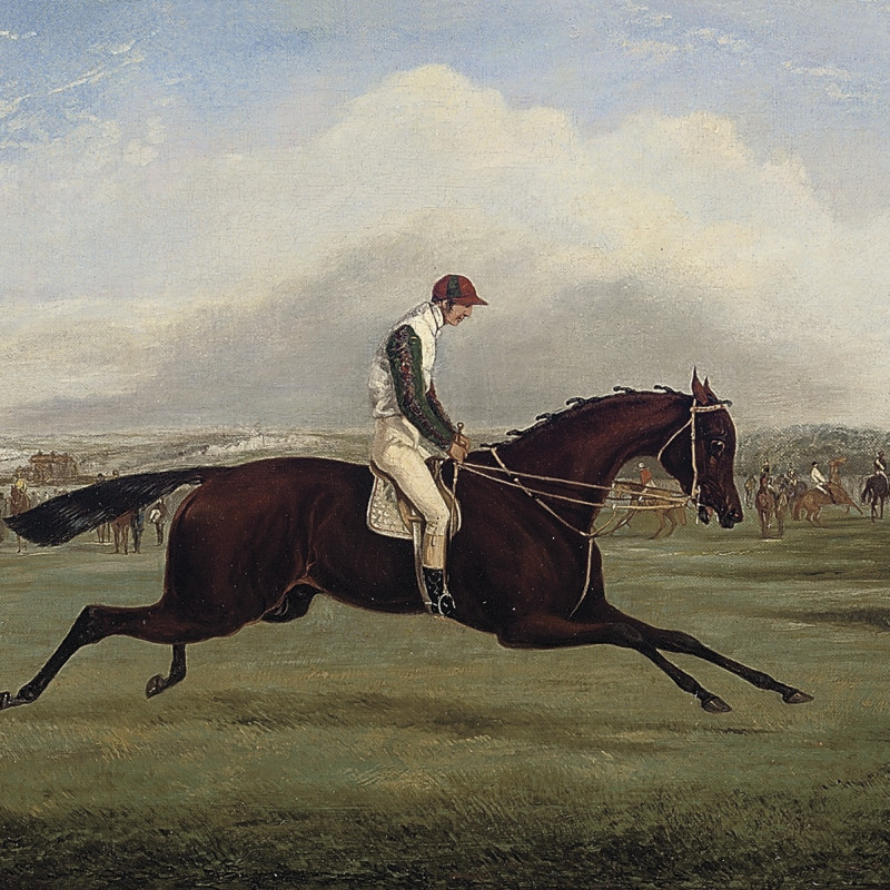 Samuel Henry Alken, Wild Dayrell, Winner of the Derby, 1855