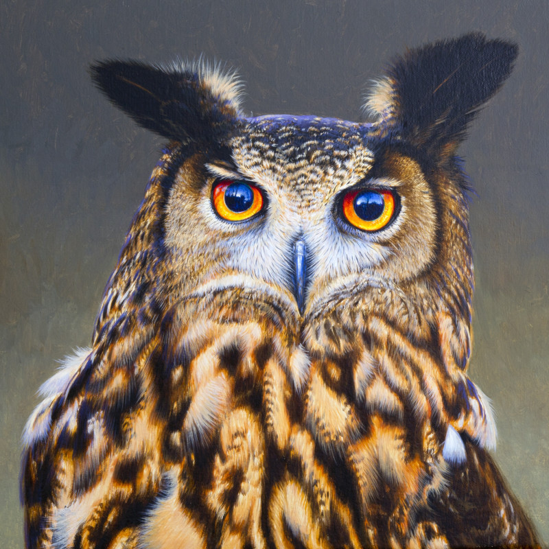 DAVID ORD KERR: AVES EXOTICAE LONDON 27 - 29 NOVEMBER, PETWORTH 1 - 6 DECEMBER